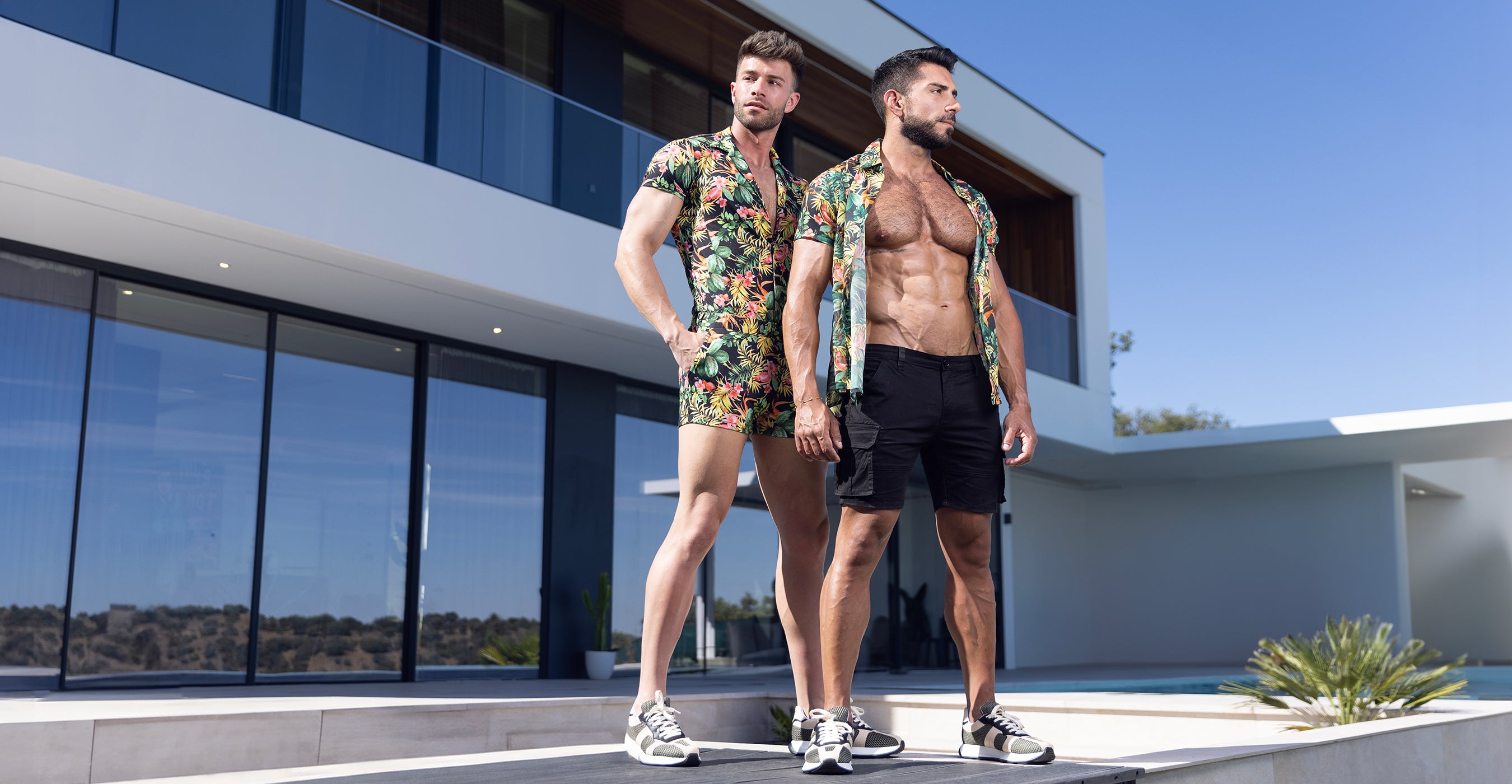 collections_hawaiian_promo.jpg