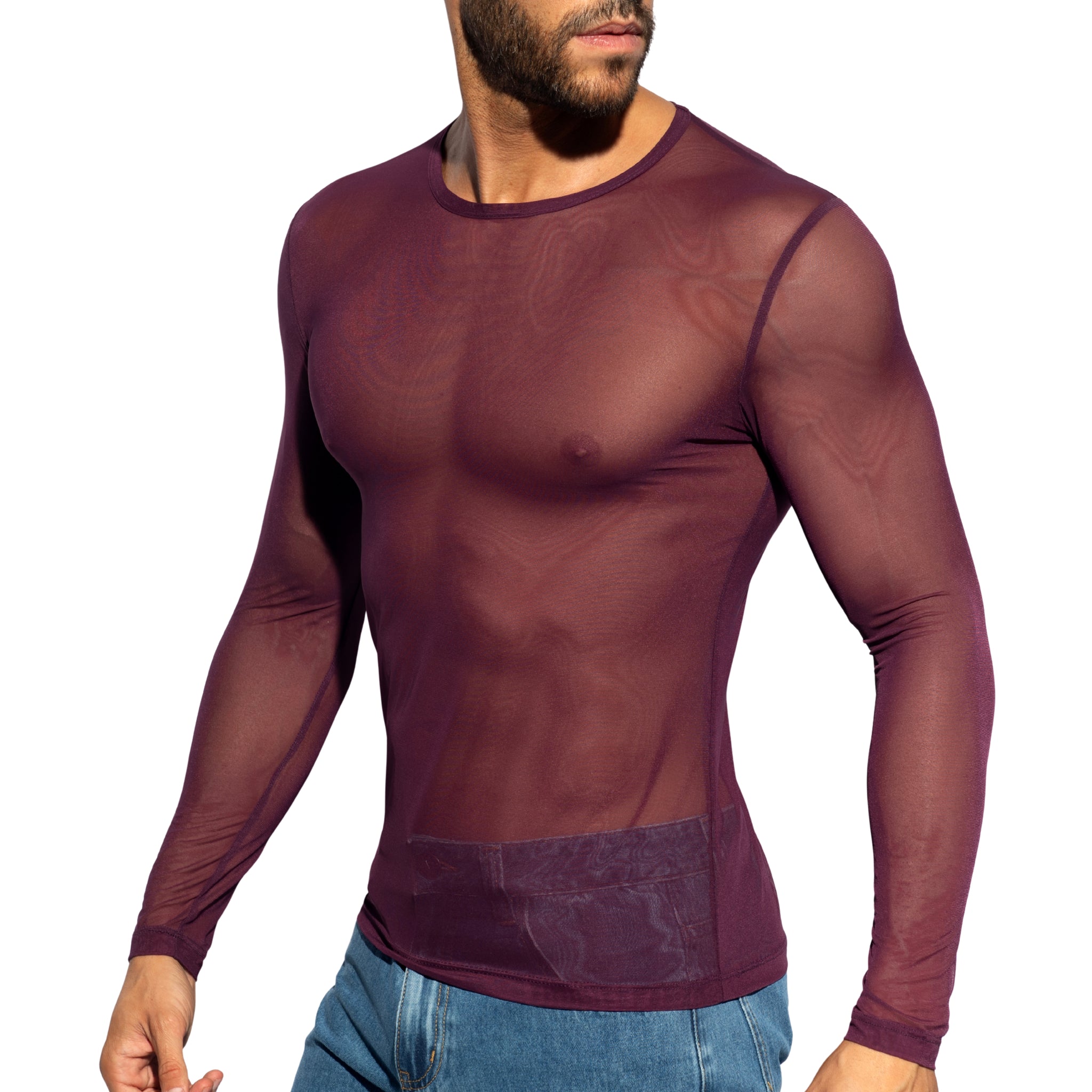 ES Collection Net Long Sleeves T-Shirt Aubergine TS360