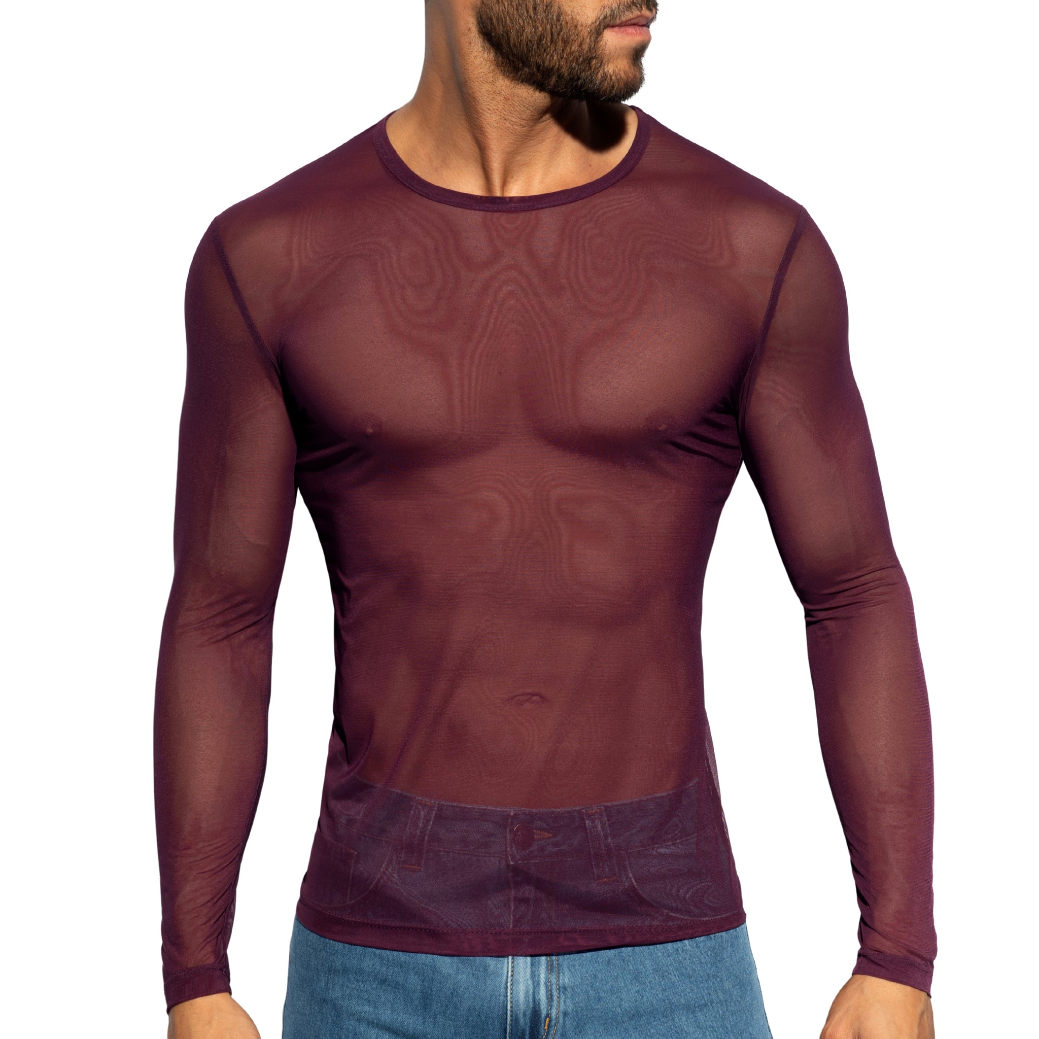 ES Collection Net Long Sleeves T-Shirt Aubergine TS360