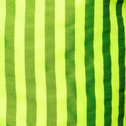 ES Collection Neon Stripes Boardshorts Neon Yellow 2523